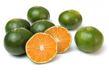 L'huile essentielle de Mandarine Verte Bio